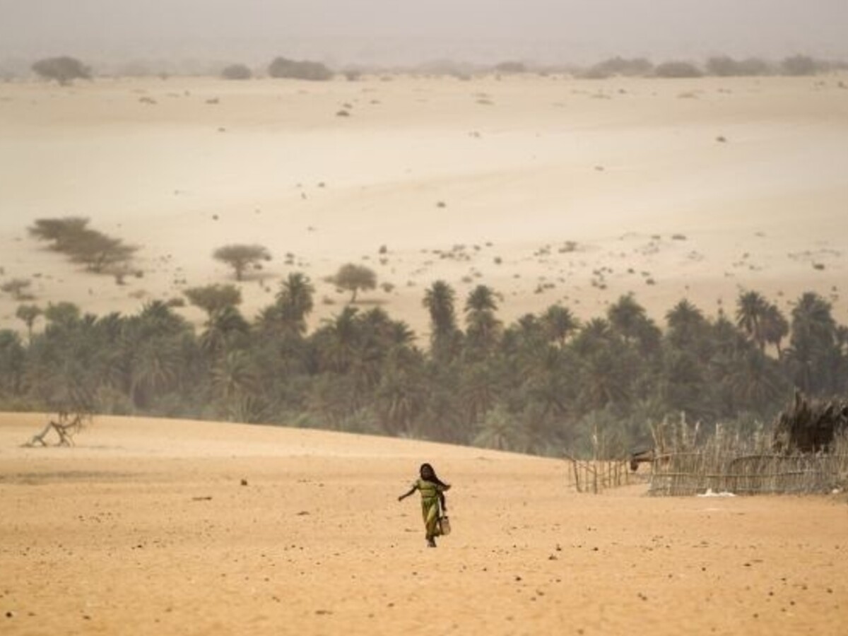 Oáza Afrika